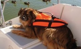 Pomoc do pływania dla psa 15-40kg pomarańczowy