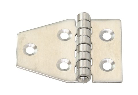 Zawias AISI316 55x40mm