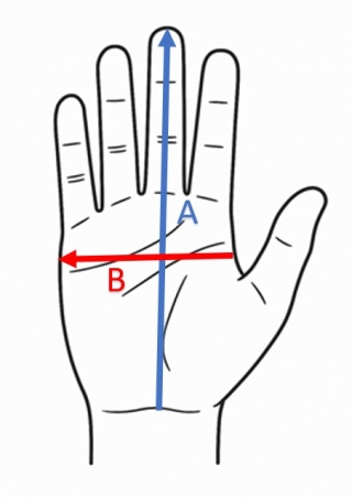 Rękawice żeglarskie skórzano-tekstylne, biało-niebieska 5-palcowa M (para).
