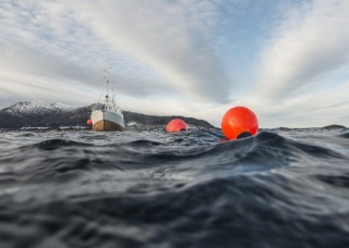 Boja / odbijacz kulisty Polyform Norway Typ A – niebieski (A0–A7)