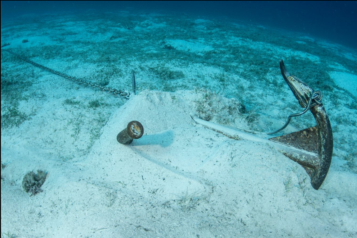 Rodzaje kotwic – jak wybrać kotwicę do jachtu i łodzi w polskich warunkach?
